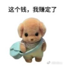 第一批五一寄养钱的人出现了寄养不错的，适合回老家的人帮忙看看，猫猫狗狗都可以的～