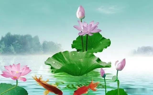 最积阴德的十件事：1 孝顺父母2 戒杀护生3 行善布施4 劝人向善5 持戒修身6