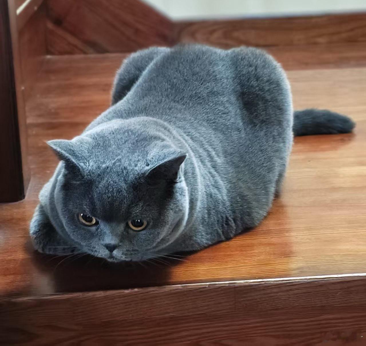 明天上班，主打一个：人到了，心还在过年。