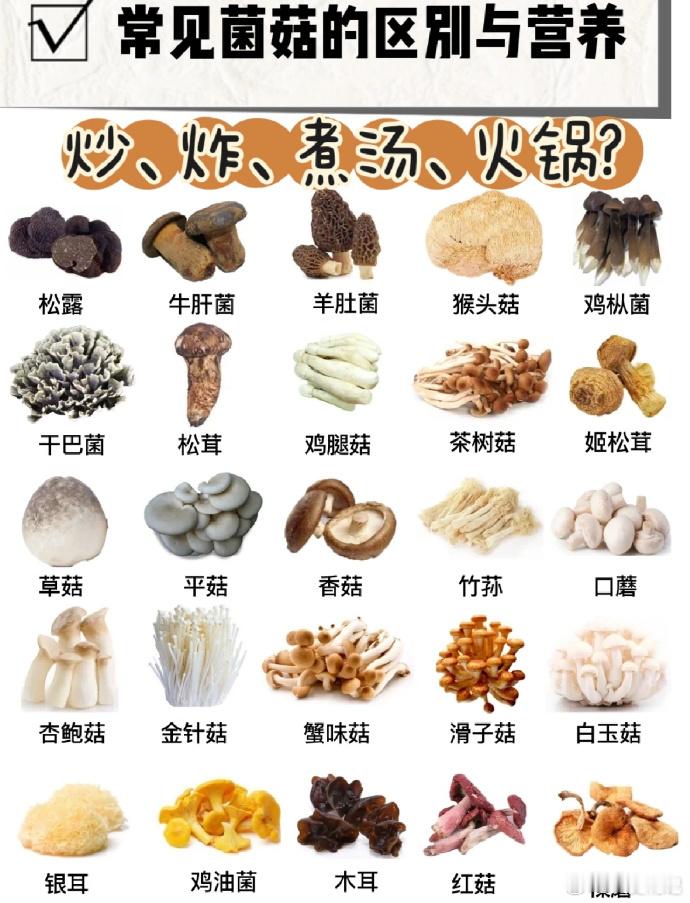 常见菌菇种类与营养价值，分别适合怎么吃。 