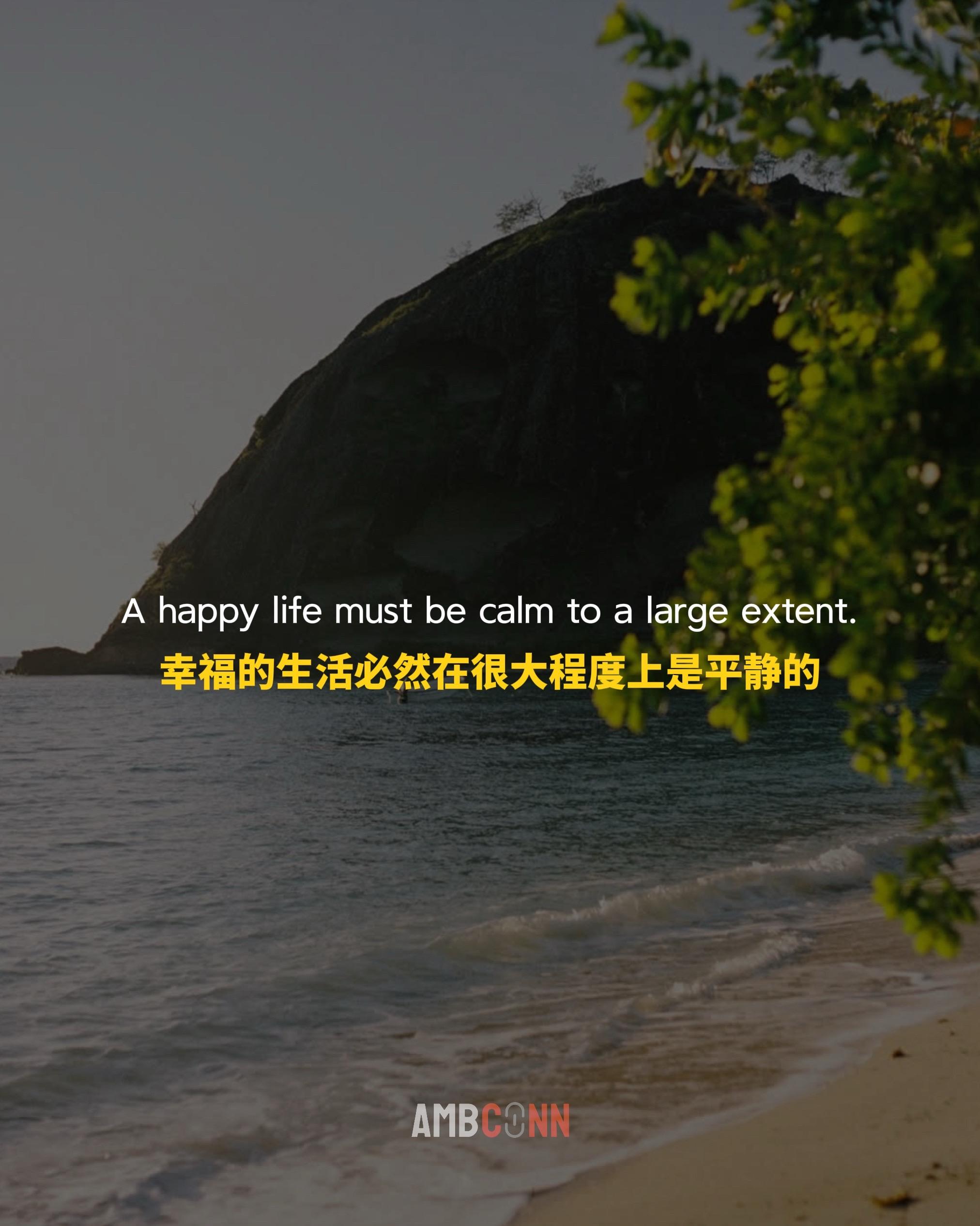 幸福的生活必然在很大程度上是平静的，因为真正的快乐只存在于平静的环境里。