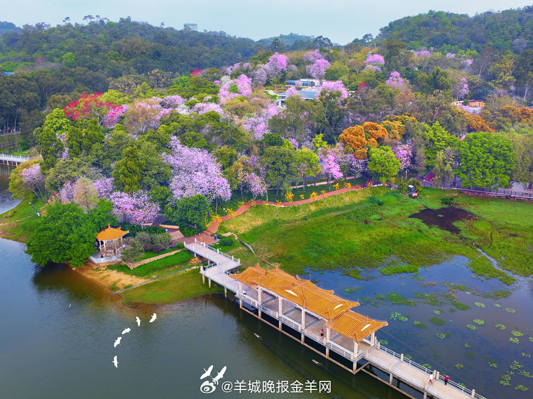 #早安#你若美好，生活自然美妙。心里有光，不仅能照亮自己，也能照亮别人。张弛有度
