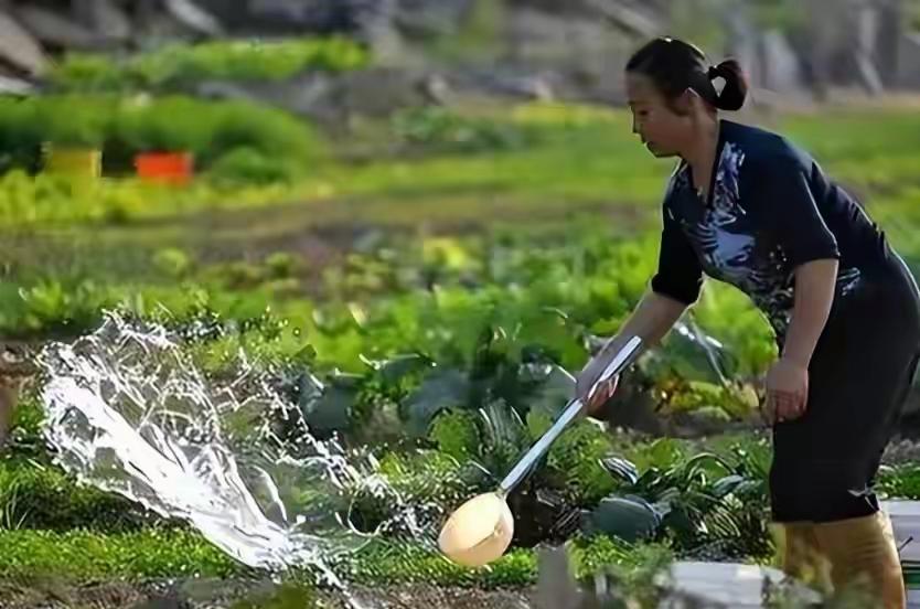 科学都解释不清了？河南，一男子在玉米地里浇水，一脚踩下去，原本结实的泥土竟然瞬间