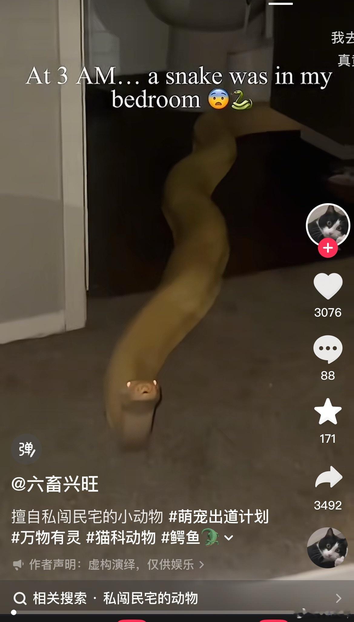 我直接醒了。 ​​​