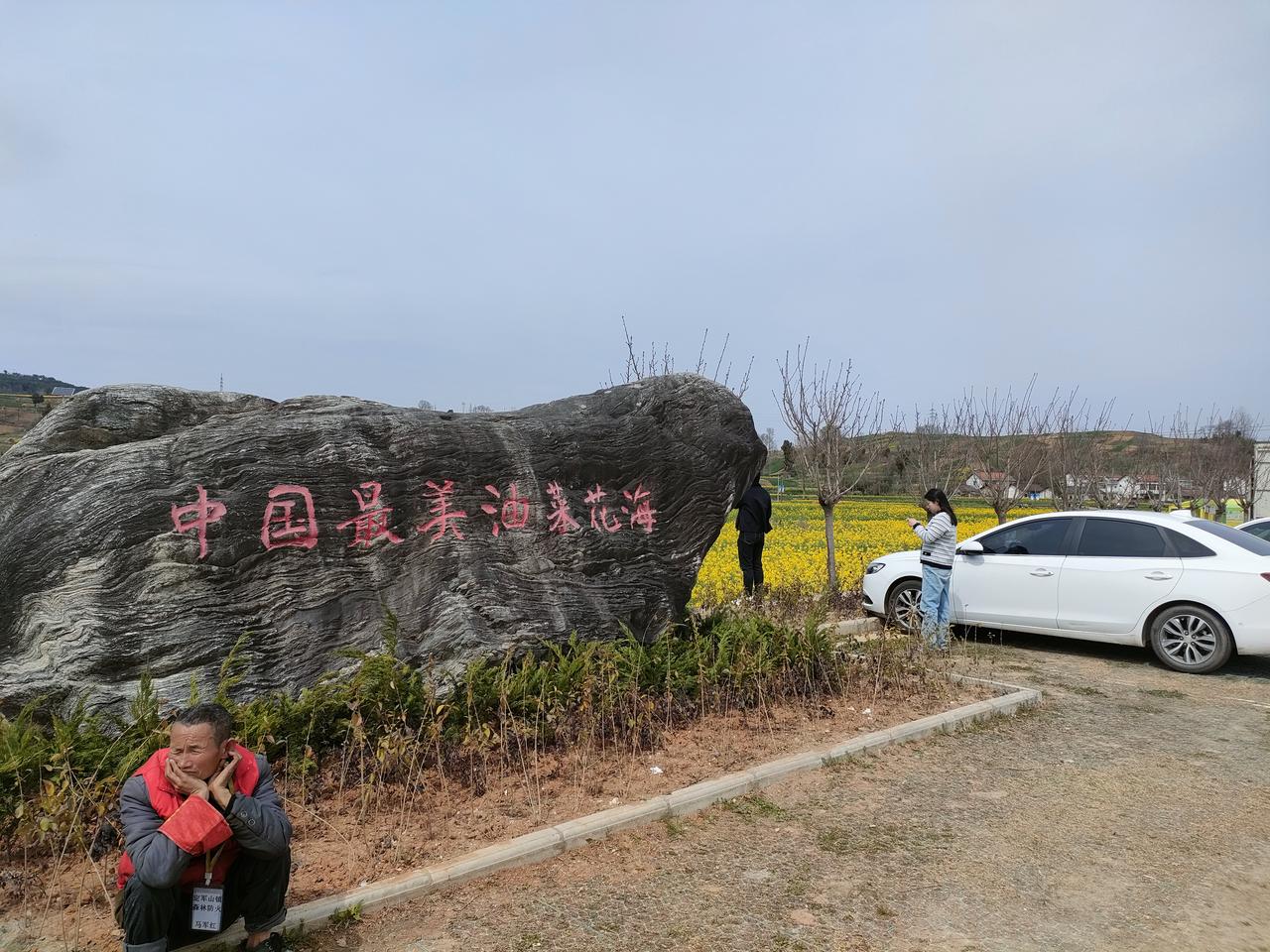 春日生活打卡季汉中的油菜花成为了旅游品牌，但对于我来说还有一个收获，那就是油菜苗