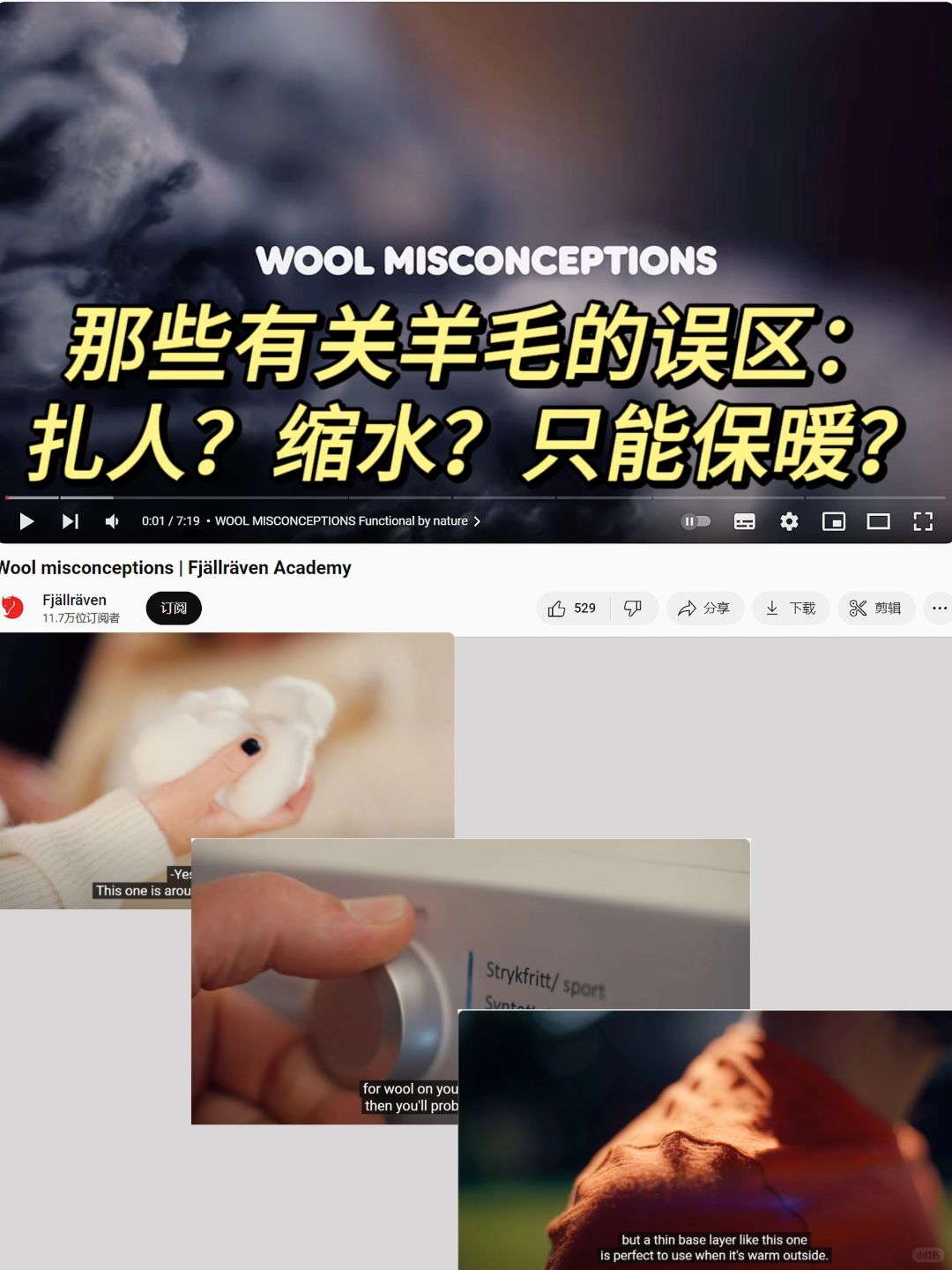 建议收藏！有关羊毛需要了解的一切