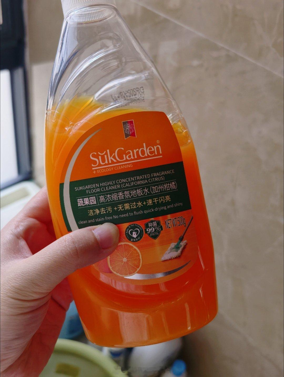 上午来的钟点工是第一次来我家，打扫到一半问我家有没有拖地水她忘记带了，我说正好有