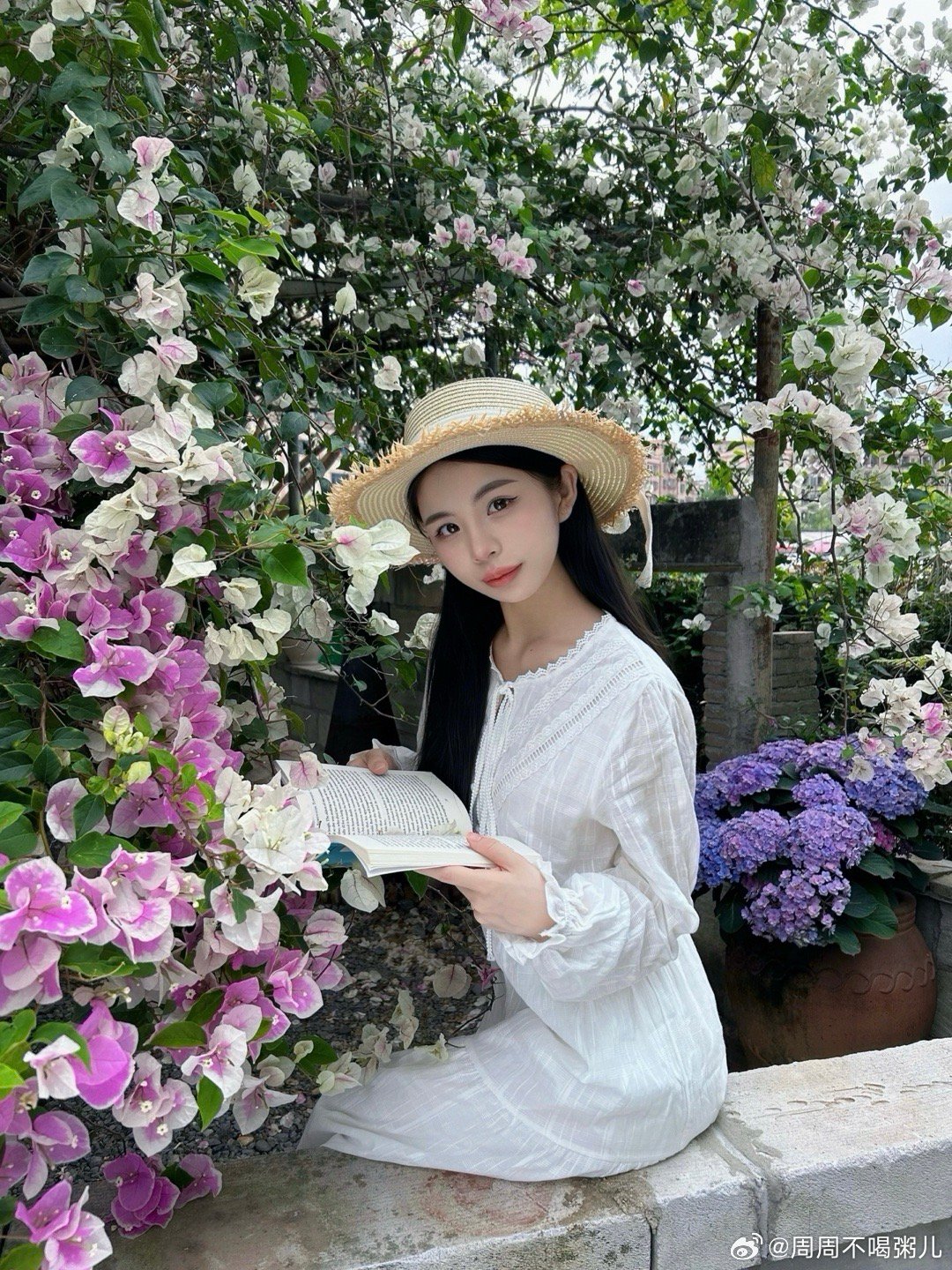 被花海包围的墙🌸 东莞·厚街镇