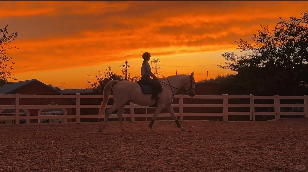 北京今天的晚霞太美了