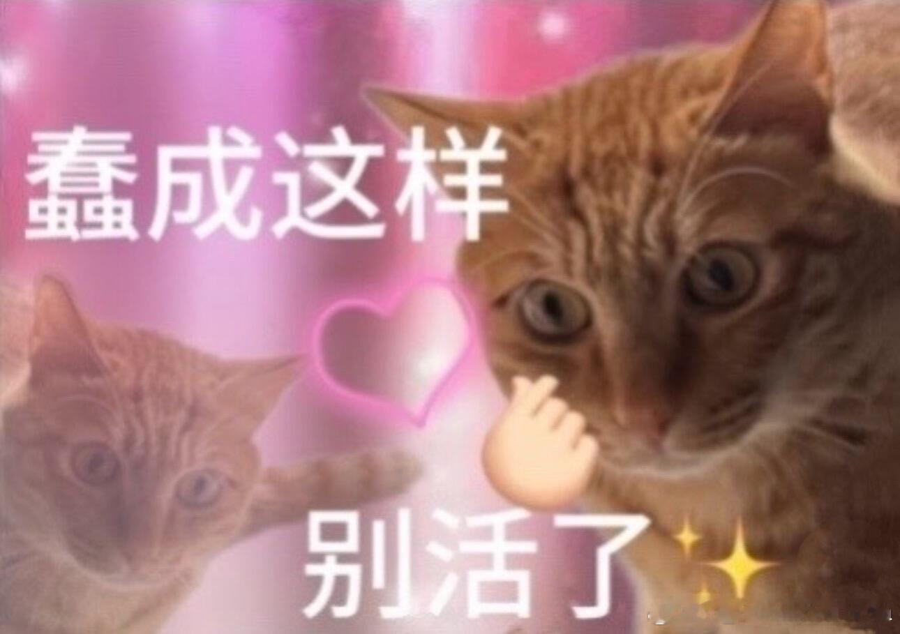 老师这次流程更快了呢还没二搭就已经开始了曝虞书欣何与即将二搭