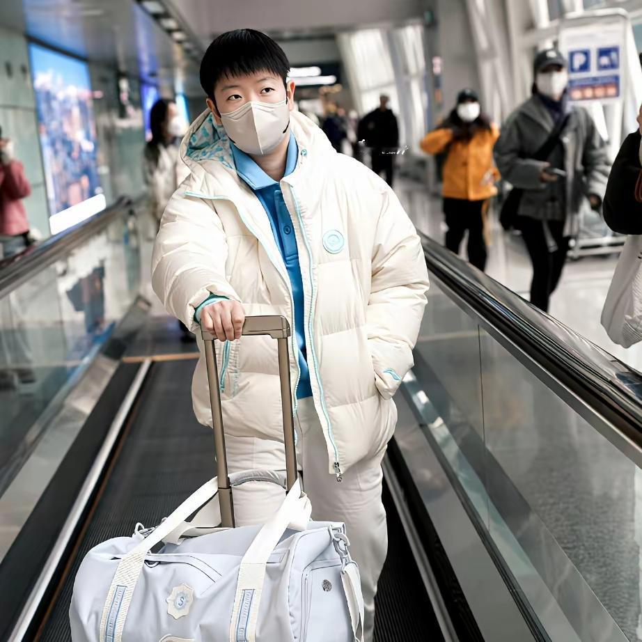 风尘仆仆赴成都
杀了一路又一路
伤病本是寻常事
为国争战不怕苦

莎莎本是常盛花