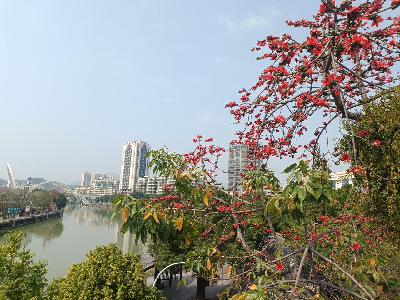 一年之计在于春，
春天的祈盼，
总是让人们充满希望。
新的一年里，
让我们更上一