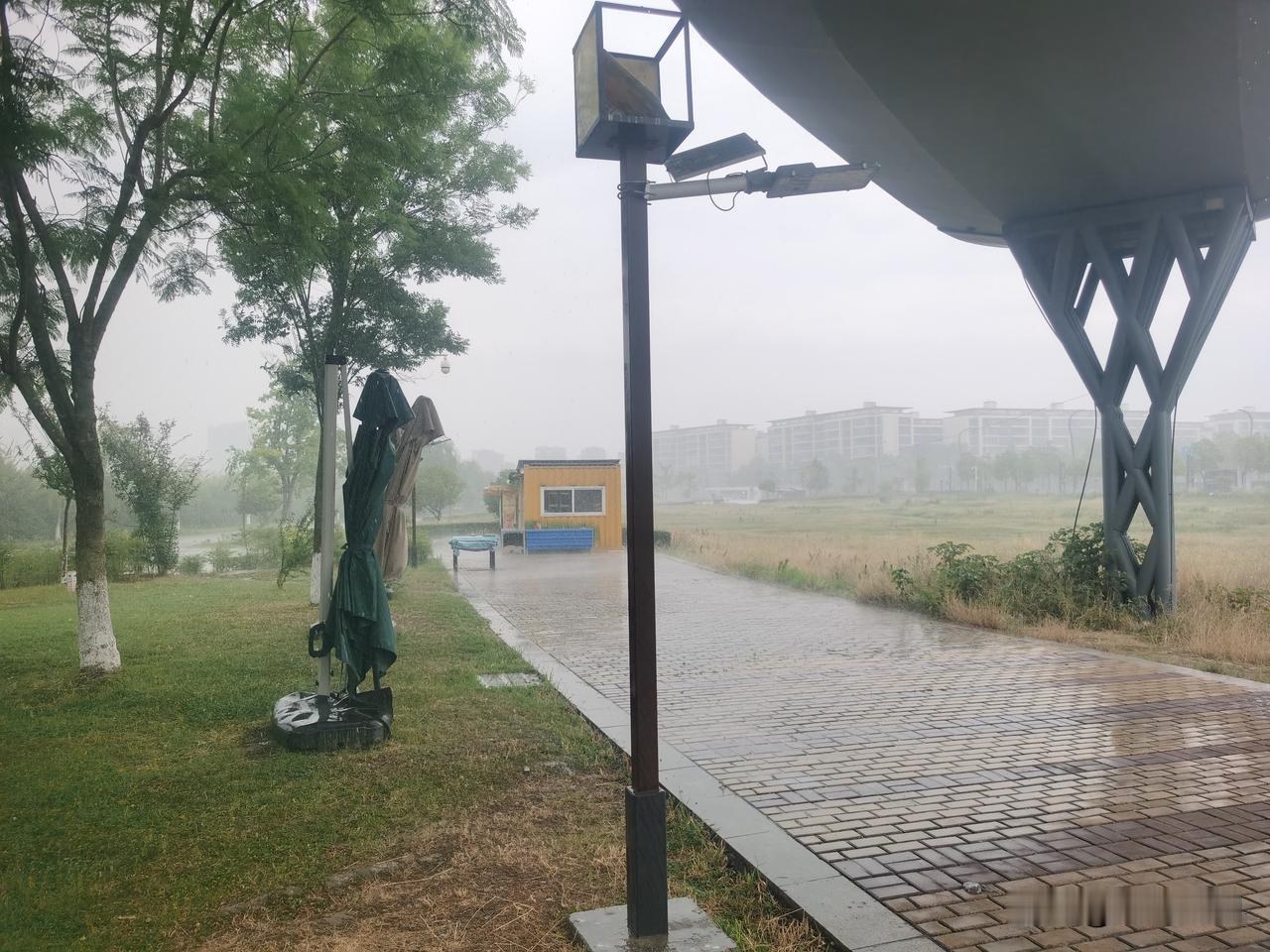 小枧湿地公园正在下雨