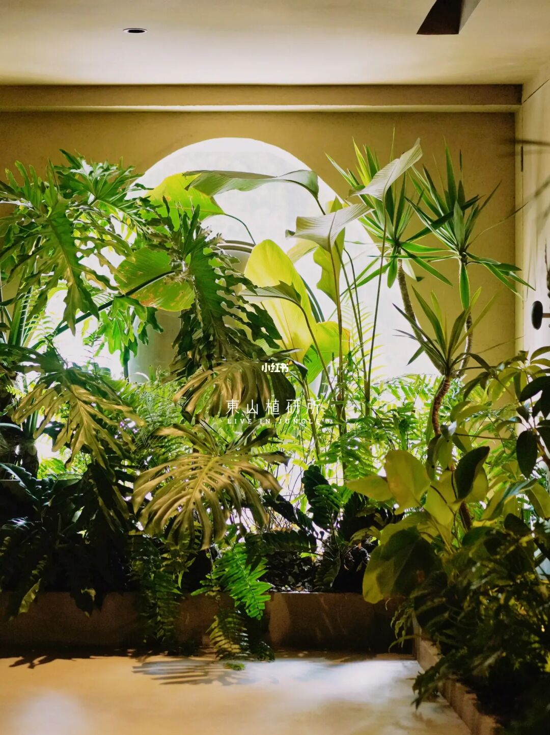 植物布置｜spa馆的植物治愈力 沉浸式造景