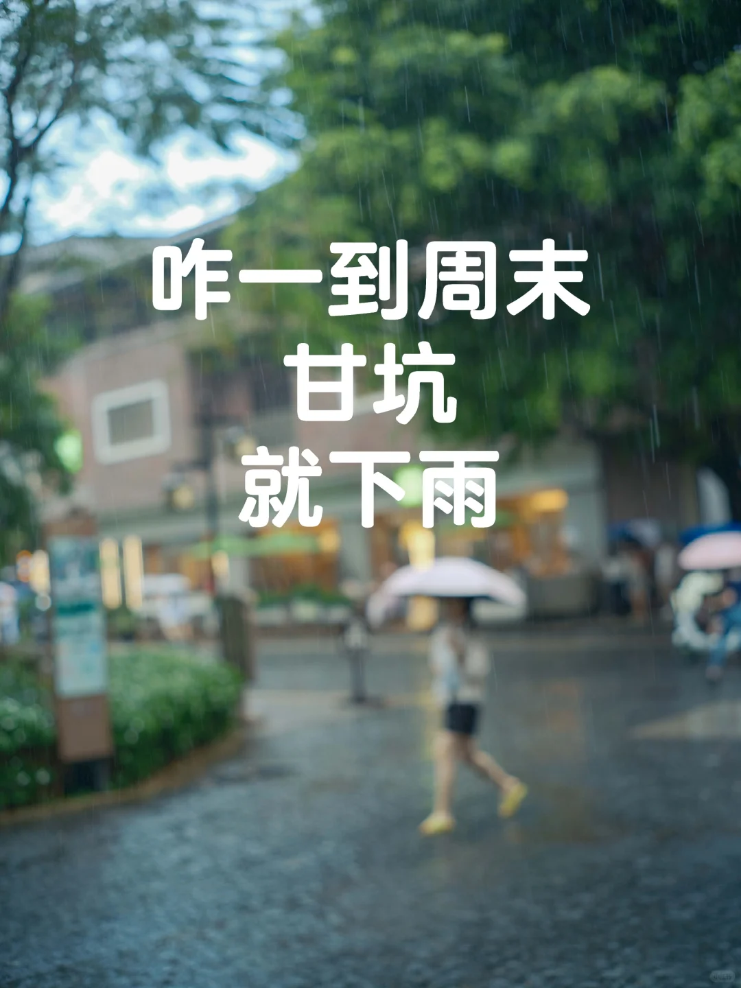 咋一到周末甘坑就下雨了🌧️🌧️🌧️