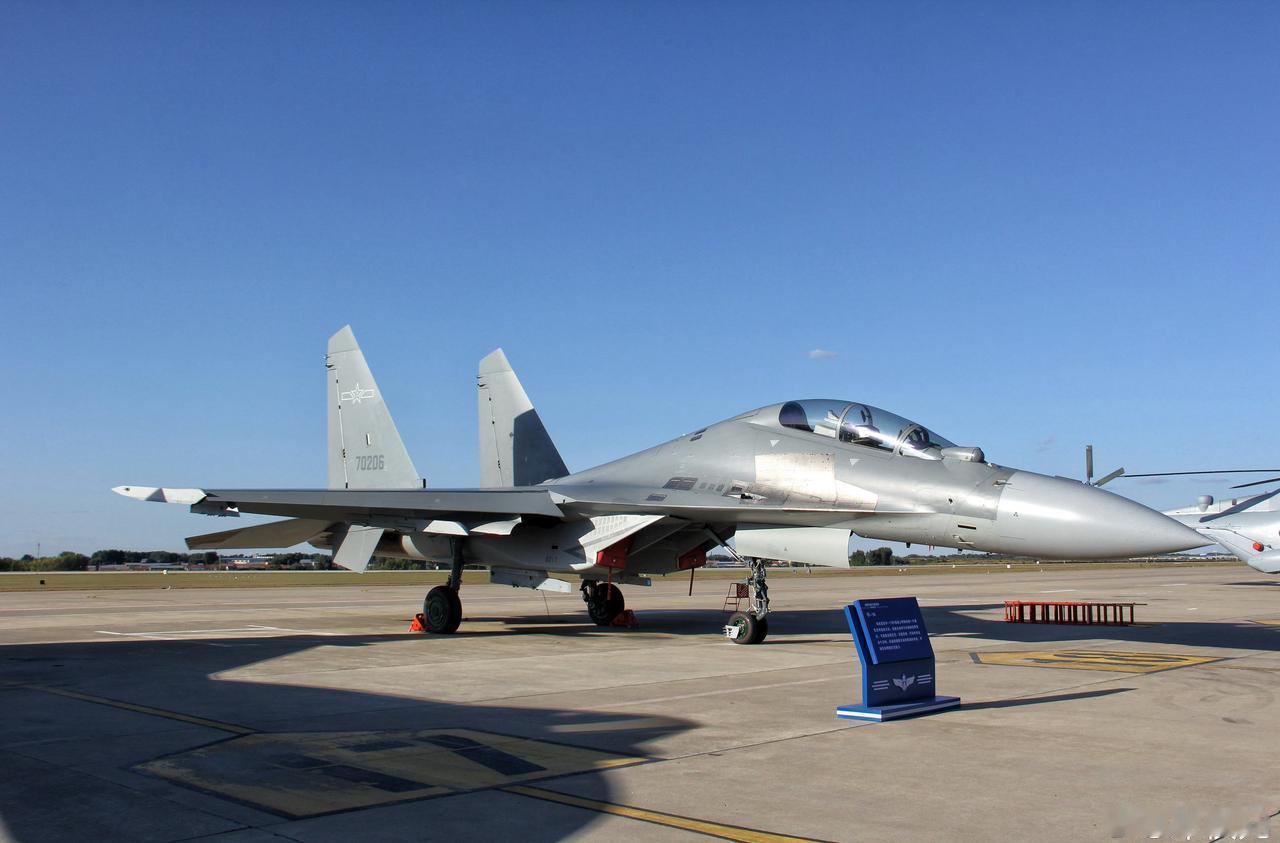 【2025年度大国重器影像盘点之歼-16双座双发重型多用途战斗机飞行员向观众挥手