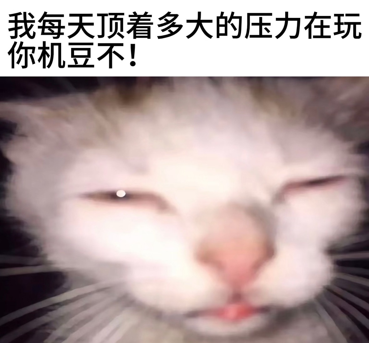 谁懂只要一个微博号搜索了关于ppq的东西之后我鱼儿的黑稿就源源不断跟上来了  从