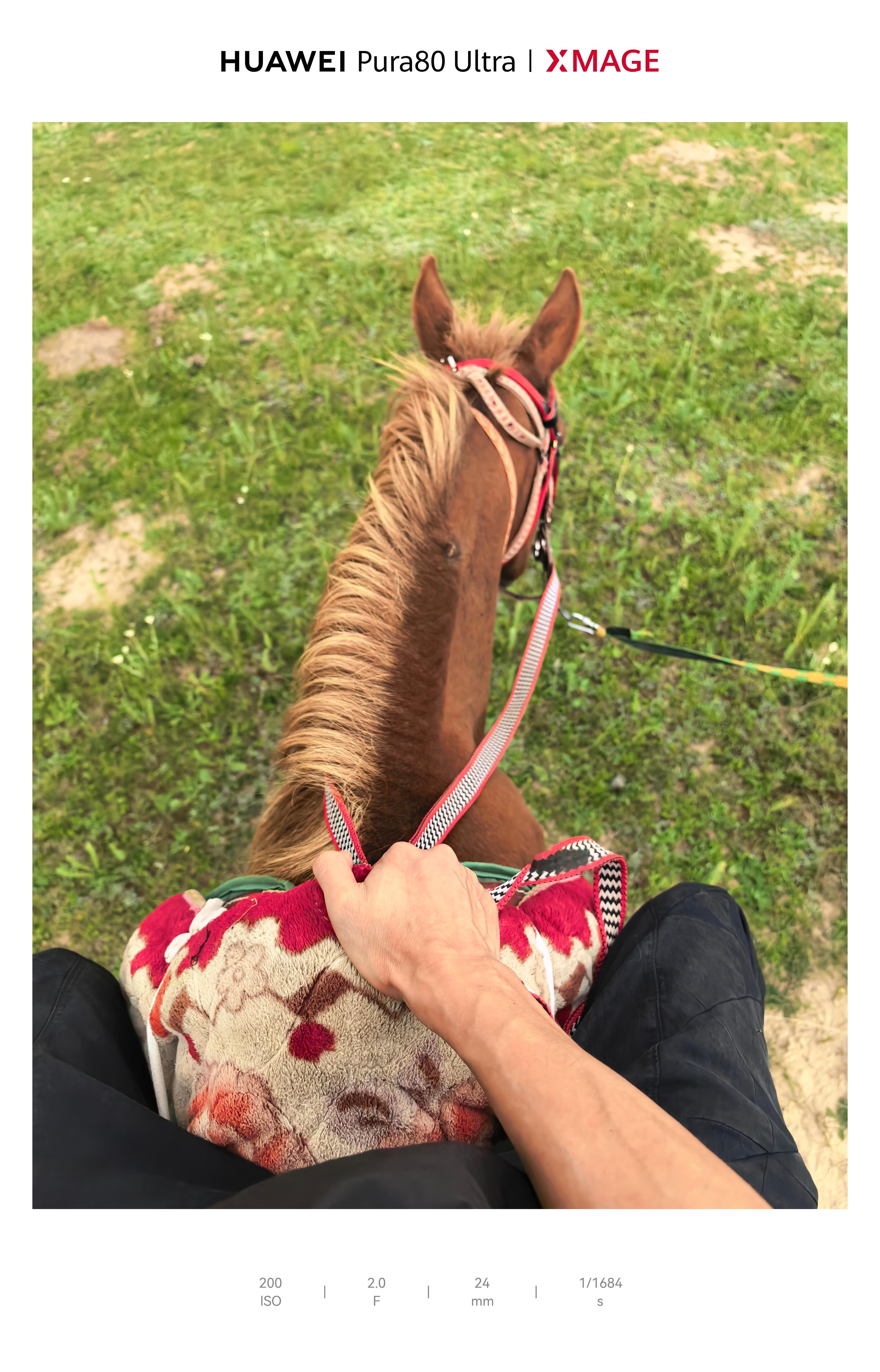 要不就策马奔腾吧！！极氪猎装敢玩更懂美  ​​​