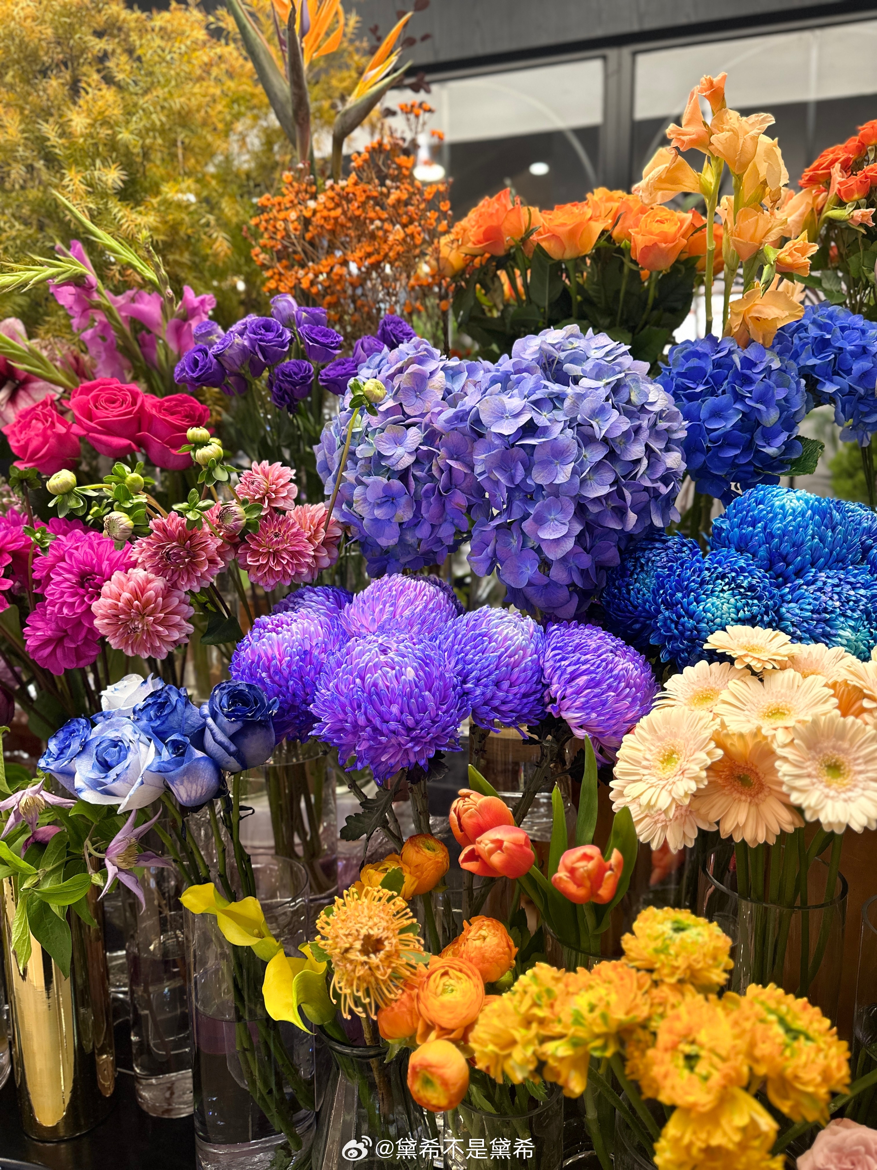 看见花花心情真的会好诶 ​​​