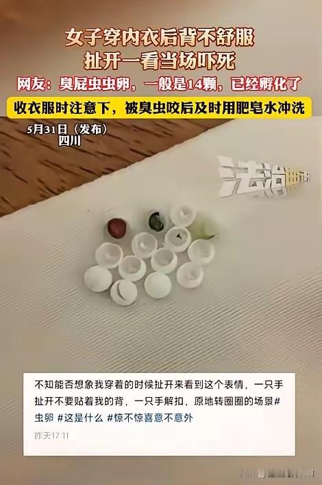 “太恶心了！”5月31日四川，一女子起床穿内衣，总觉得扣着不舒服，扯开内衣竟发现
