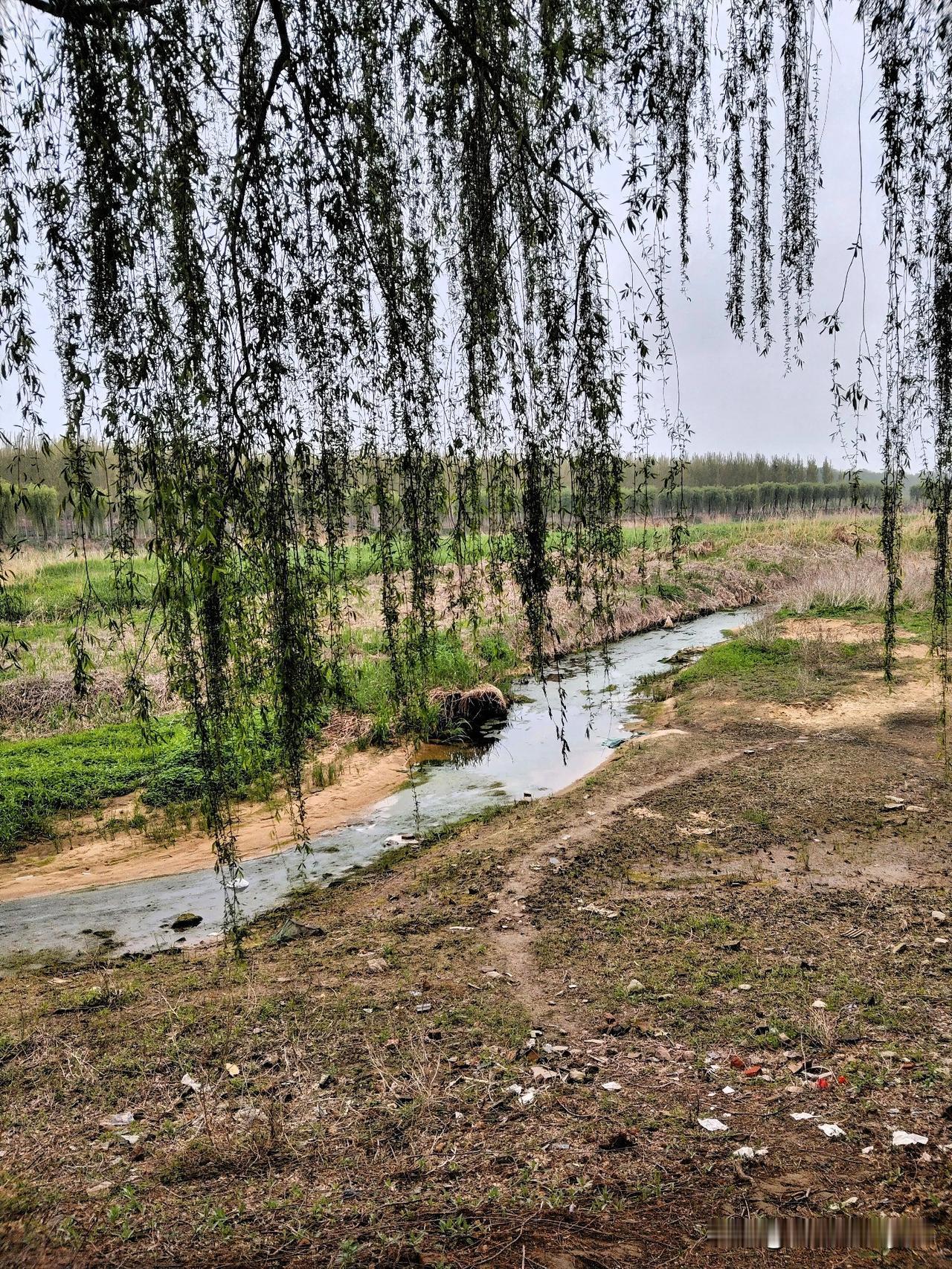 莴苣生吃最佳，清淡清口爽口，炒吃也可以。凉拌莴苣丝和凉拌莴苣片性质一样，只不过是