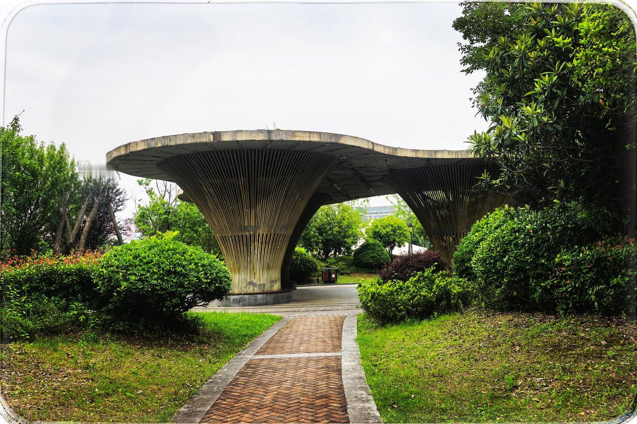 绘境园林——卓尔青年汇公园之梦
在城市喧嚣的边缘，卓尔青年汇公园悄然出现。似一方