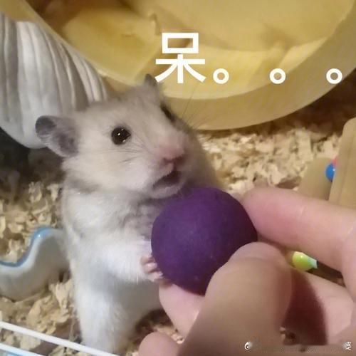 李在镕在北京买了100个labubu土豪哥的内心：🌿，这里不限量，没溢价，血赚