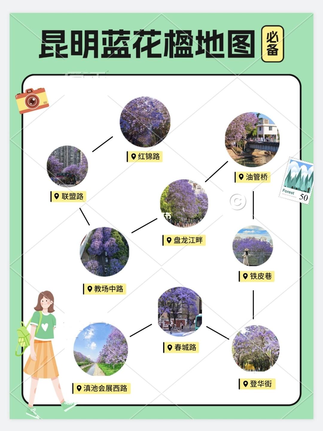 昆明8个蓝花楹打卡地！！别去挤教场中路啦！