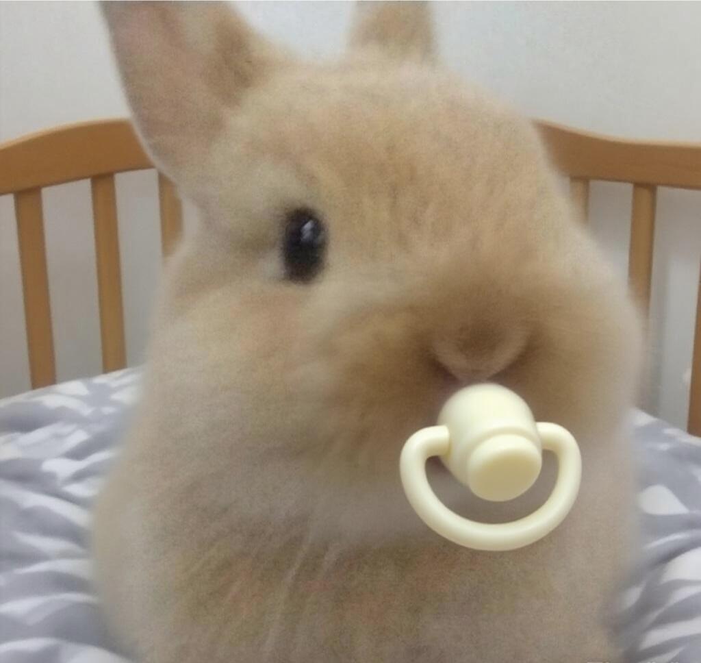 ૮꒰ྀི⸝⸝› o ‹⸝⸝ ꒱ྀི১ 