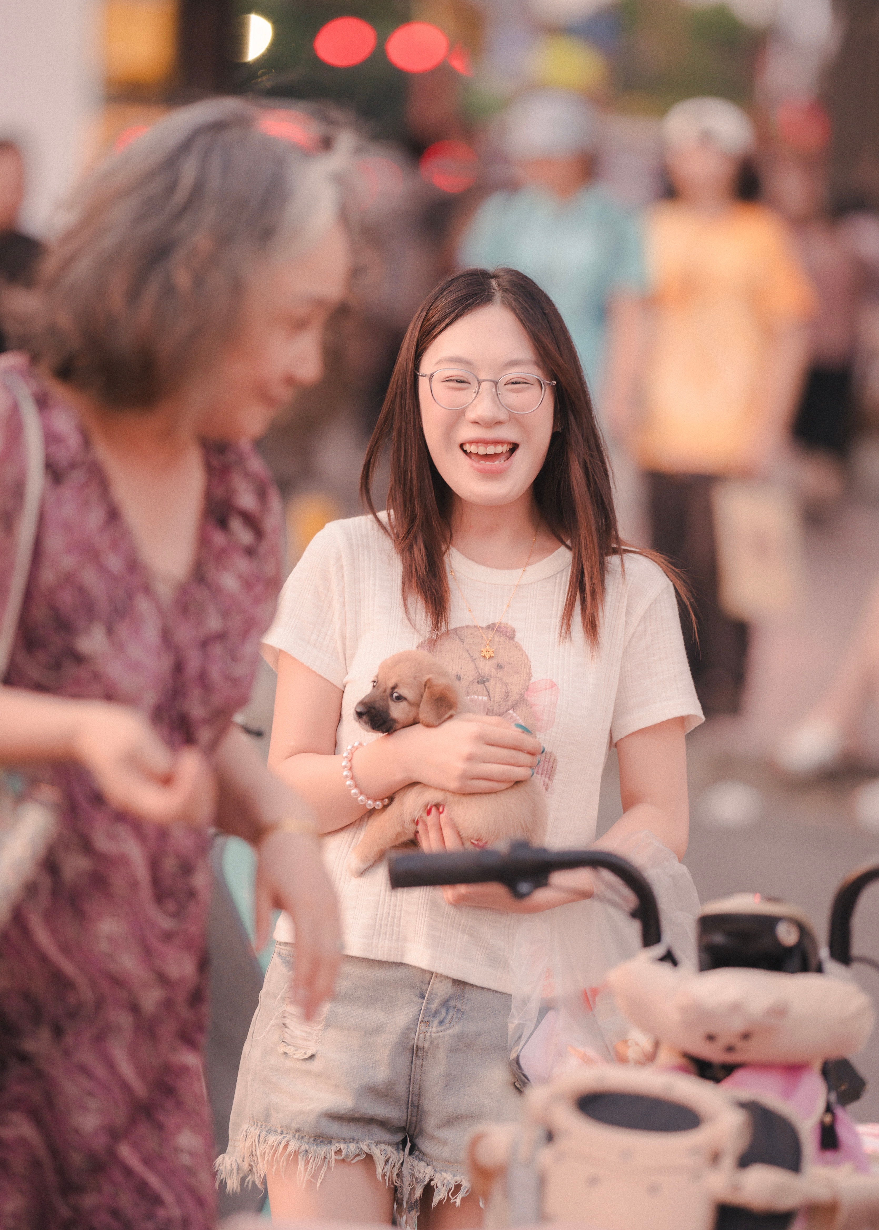 等人收养的小狗 ​​​