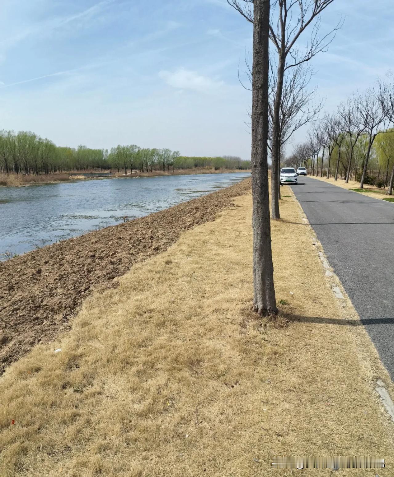 春日随手拍这算是春天到了吗[机智]