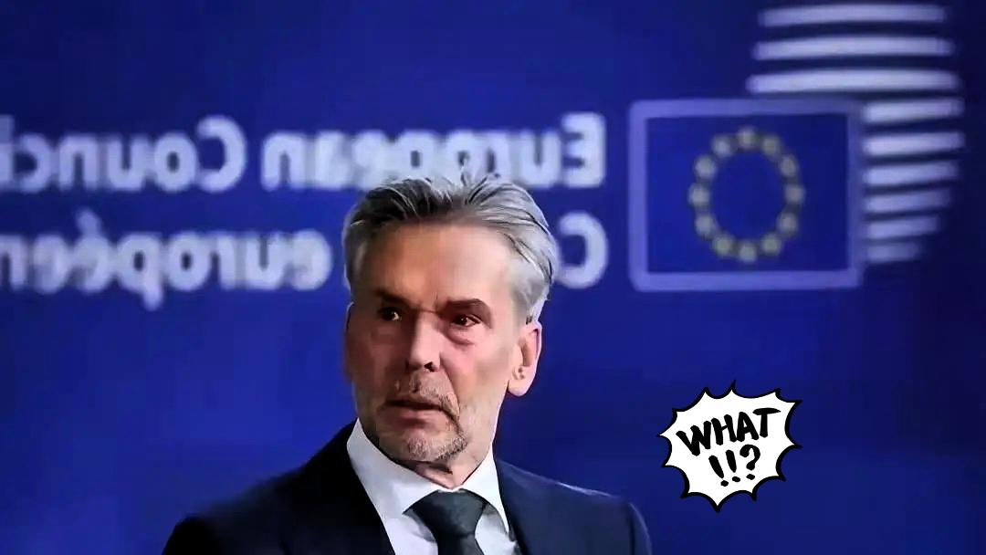 荷兰宣布了：如果中国断供稀土，我们将采取必要手段。

就在海牙上周的记者会上，一