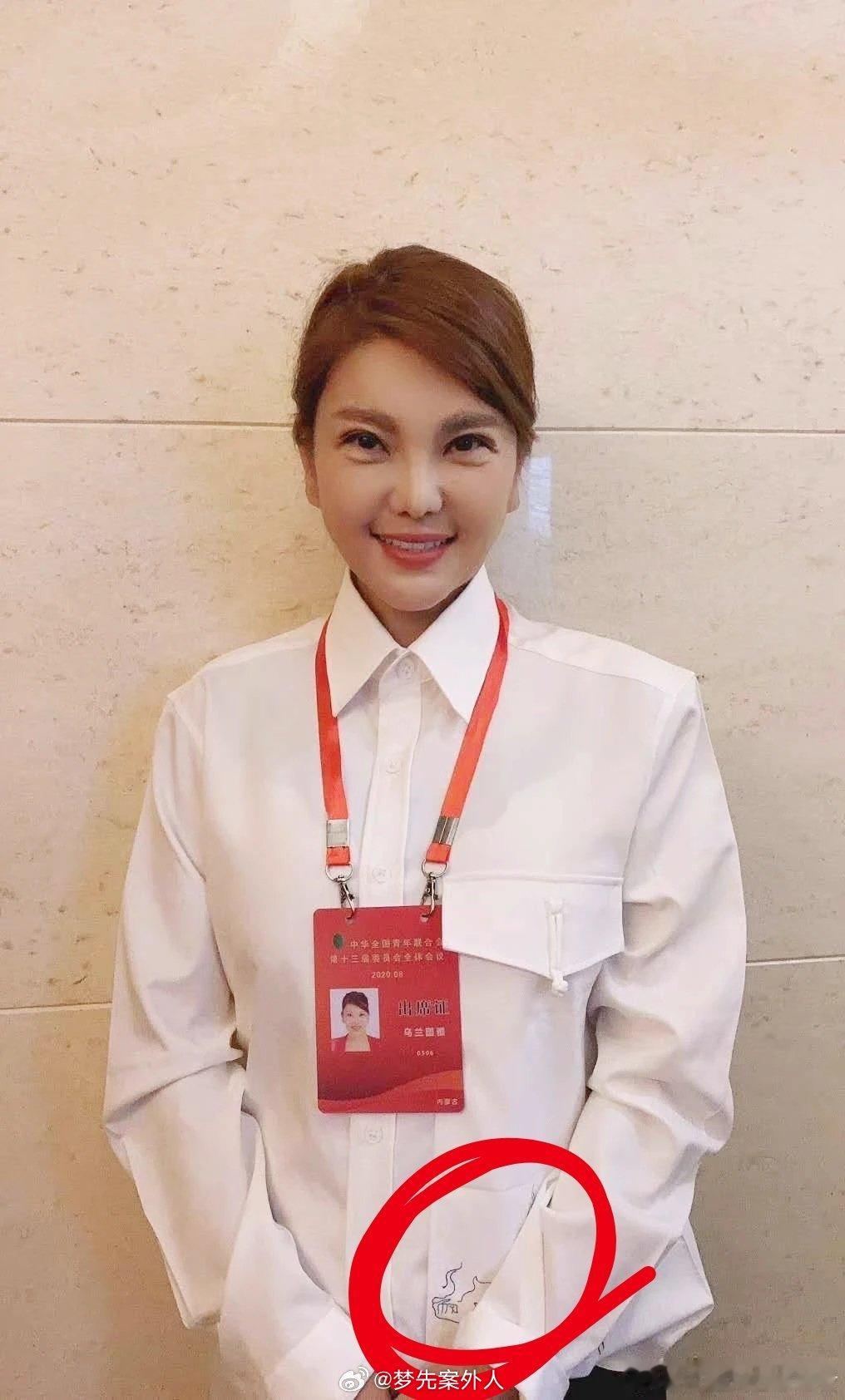 疑似图儿最正式的一件衣服（带卡通小图案版 