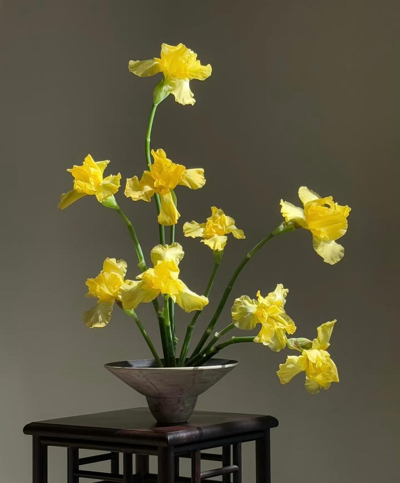 一室繁花纳百福，满堂喜气增千祥
传统文化 插花  艺术