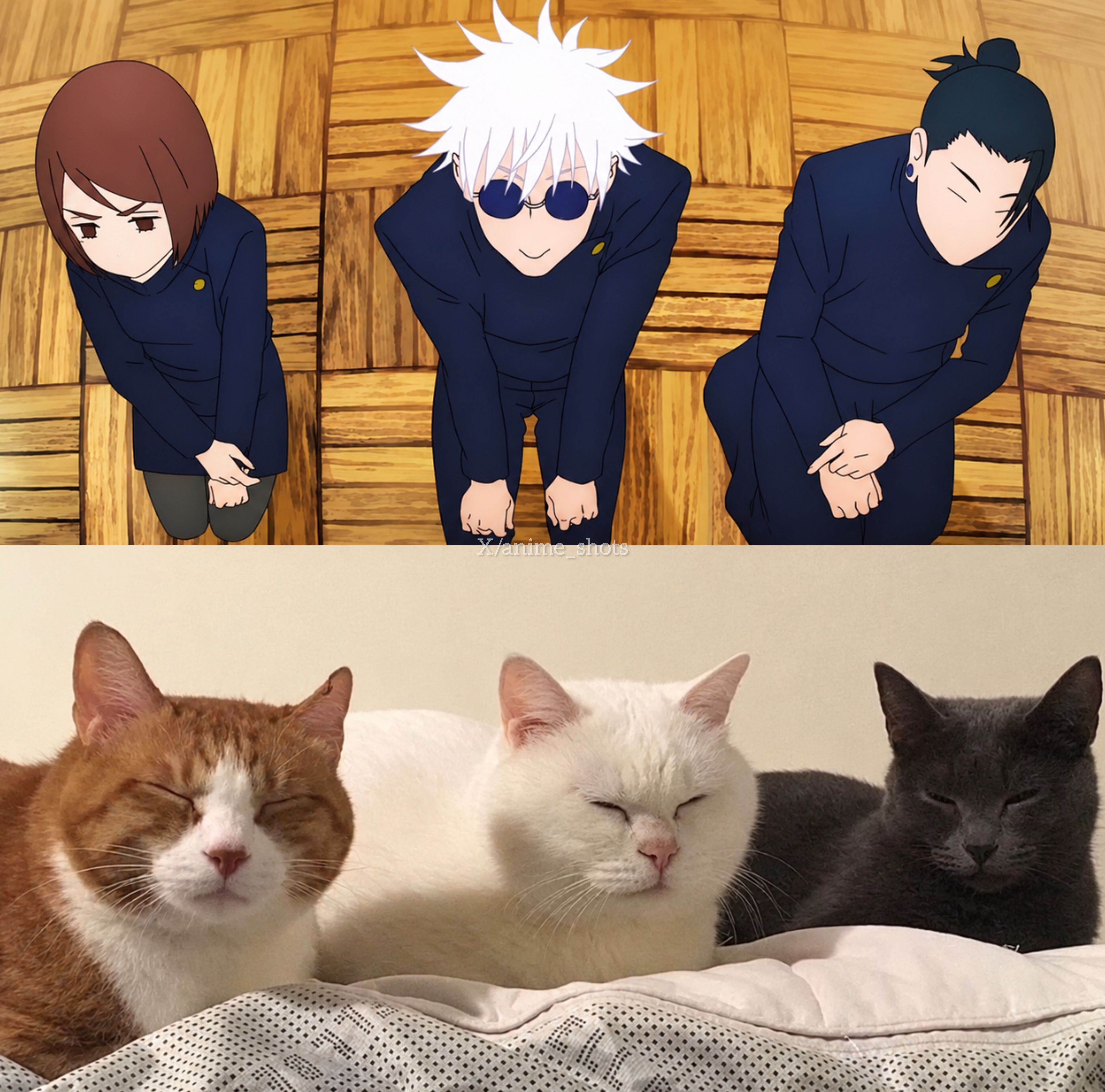 咒术回战 猫猫咒术三人组动漫追番团 ​​​