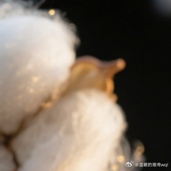 忘记该忘记的，记住该记住的，善于遗忘，善于珍藏。这世界上，没有谁可以重复谁，没有