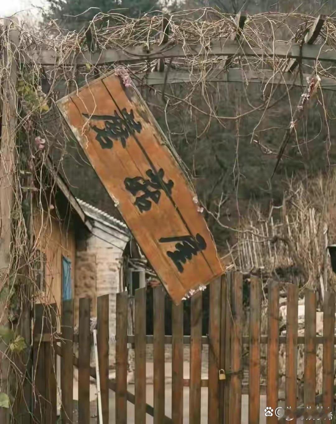 《向往的生活》蘑菇屋现状太惨淡了 