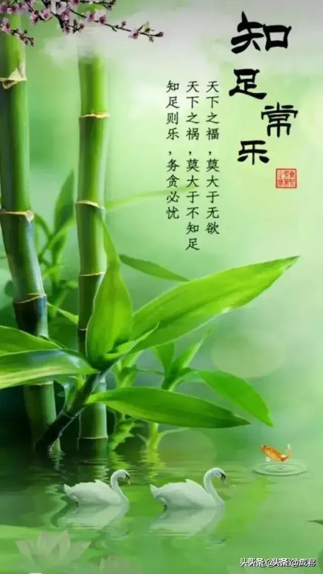 《采桑子·平安知足》

平安本是人间幸，
淡看浮荣。
心自安宁，
无扰尘嚣一身轻
