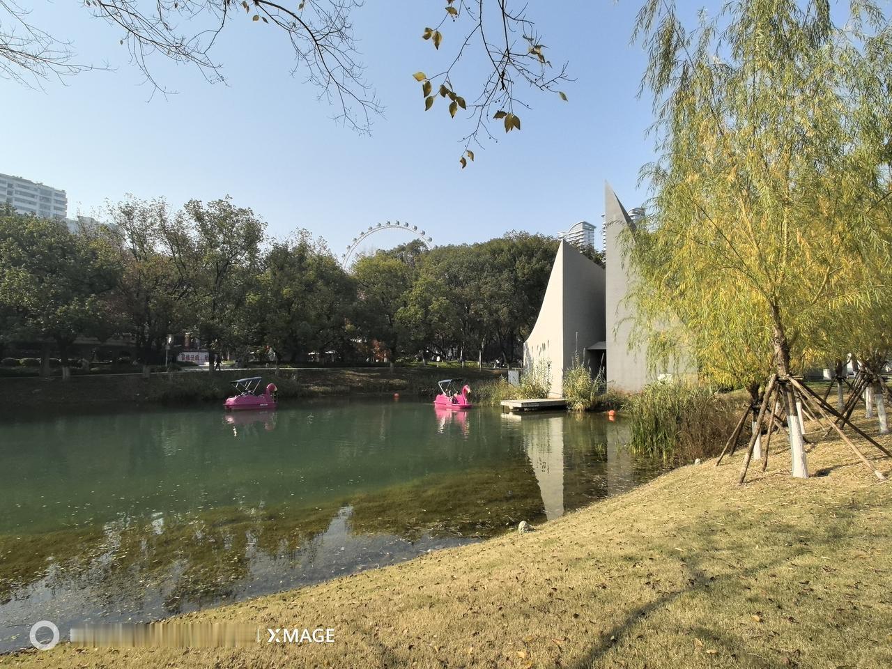 晒图笔记大赛公园的风景