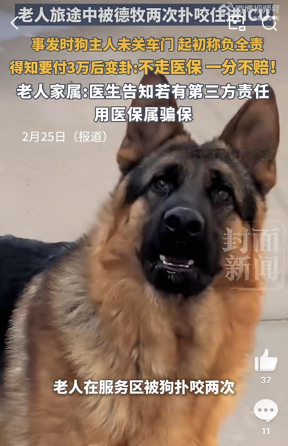 老人被狗咬进ICU犬主要求走医保：狗主人要承担什么法律责任？
 
老人被狗咬进I