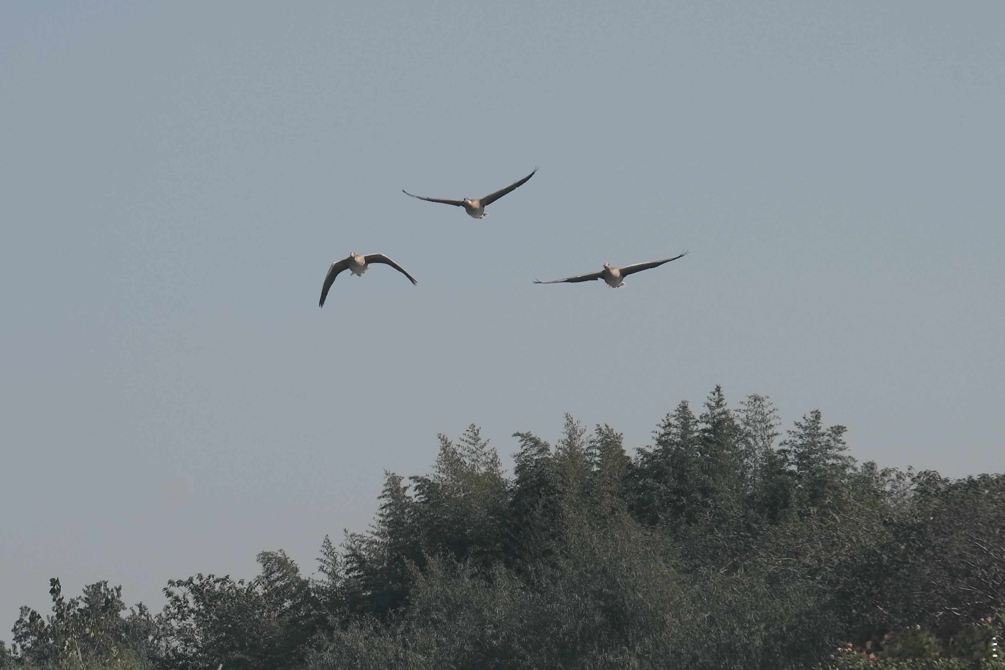 自信才有资格谈浪漫，收起你那多余的自卑，把皮肤养好身材练好，让头脑丰富言谈有趣，