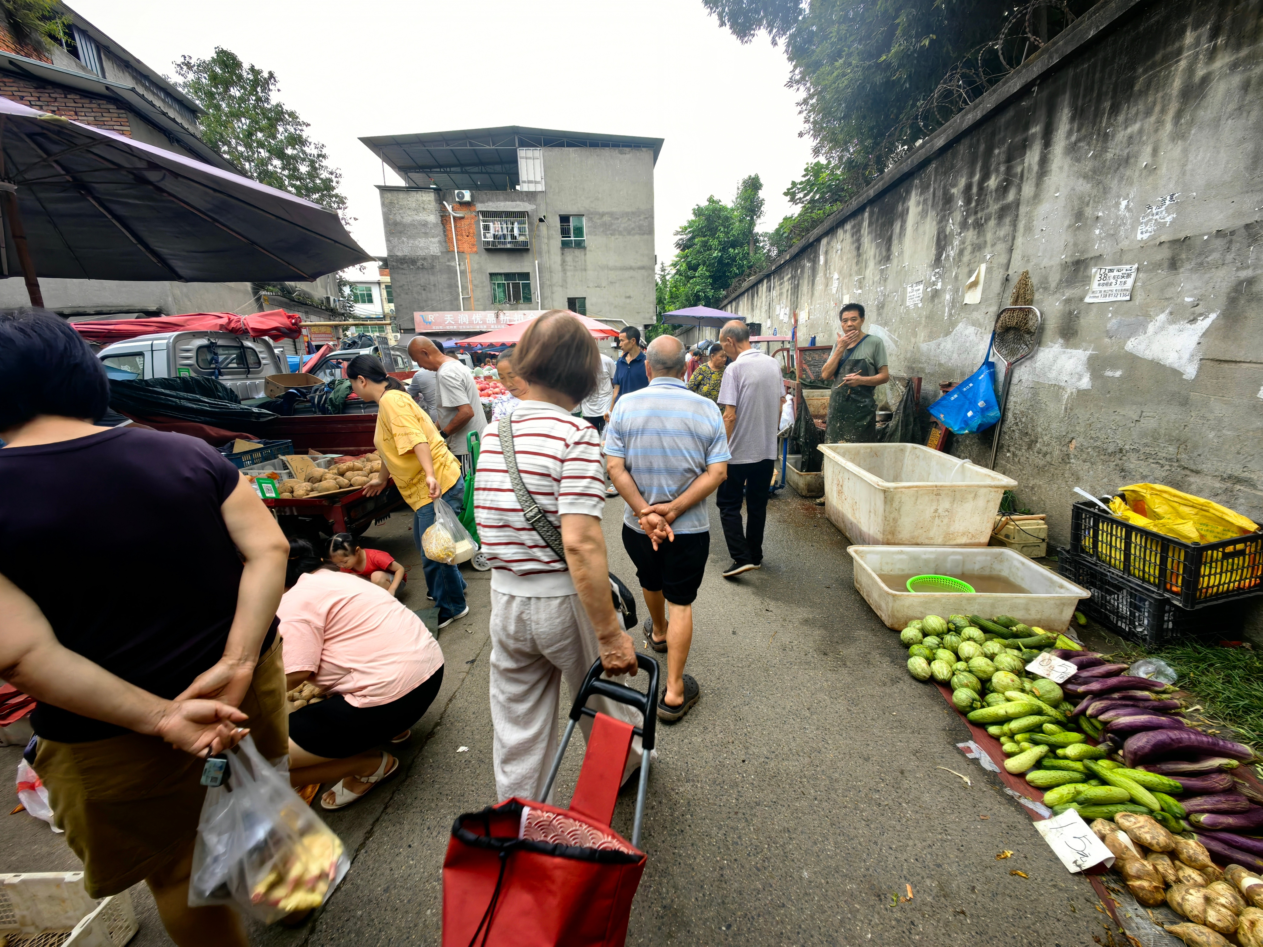 昨天下了一点点雨，气温今天就降了5°C，天气凉爽，感觉回到了1980年代的成都。