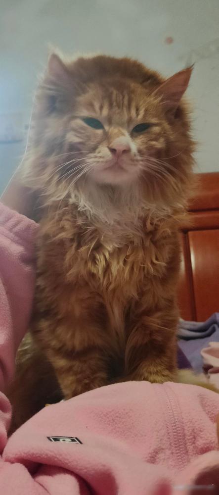 编剧的心绝对是铁打的，不然写不出碧莹26岁就香消玉殒这种缺德剧情。

临死前连那