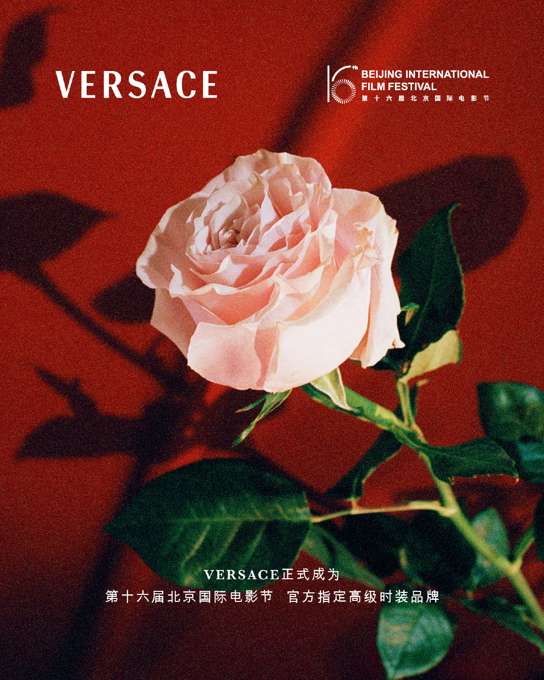 虎弟说时尚 Versace欣然宣布与北京国际电影节再度携手，担任第十六届北京国际