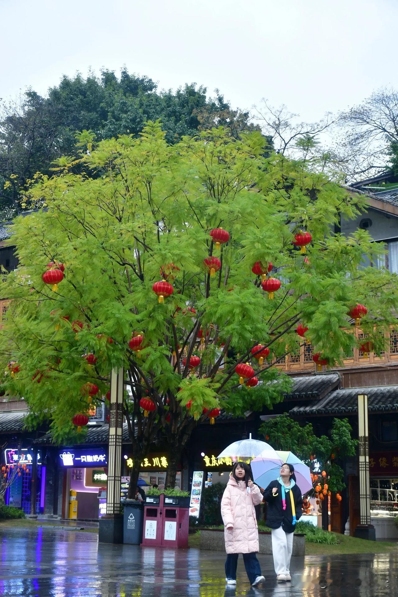 图看重庆：今日打卡磁器口重庆之景 重庆• 重庆拍照 📷 @一帘幽梦155603