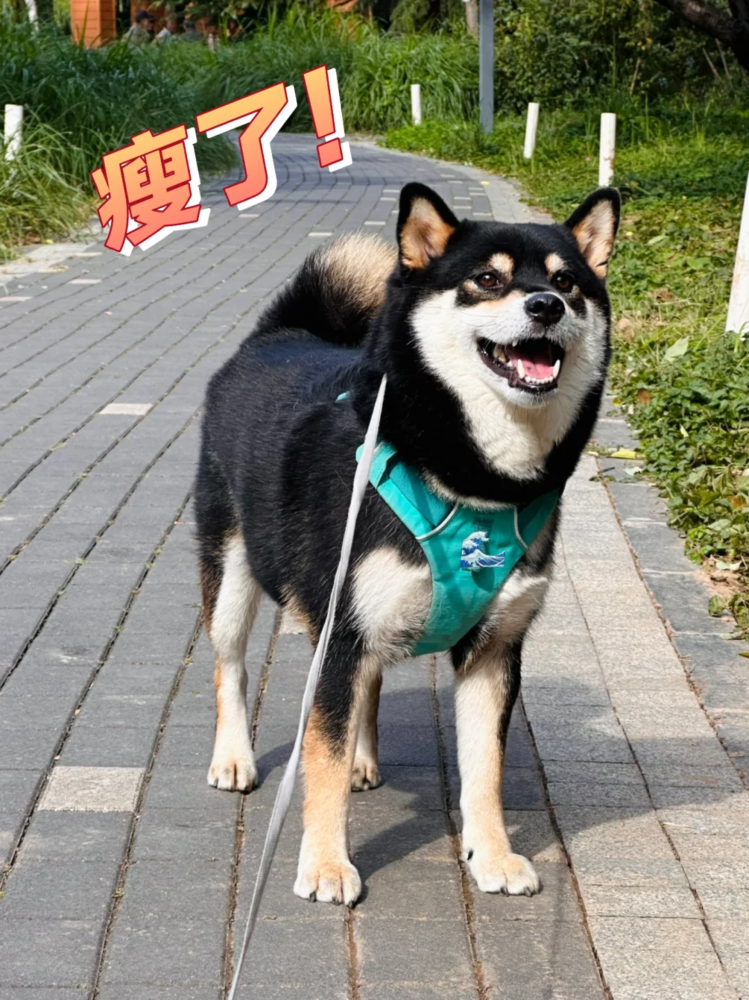 减肥两个月瘦了2斤