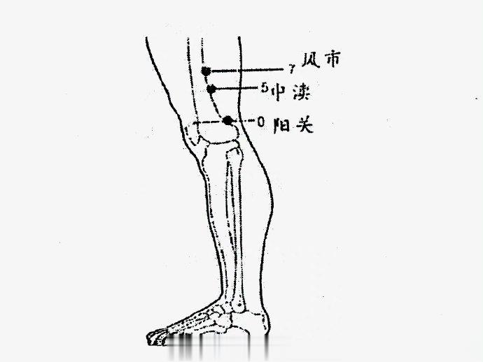 #中医式生活# 胆经上风市穴到膝阳关这一段，除了腋下，是胆藏邪另一处所，很重要，