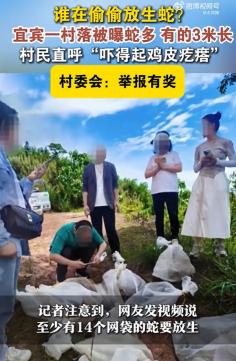 “缺大德！”四川宜宾，当地56岁村民去年冬天在院坝附近，发现一条三米多长的蛇，用