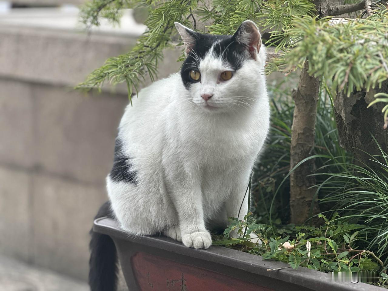 你认为两岸统一何时会实现前途光明，道路曲折！我们不能低估统一的难度，不过，台当局