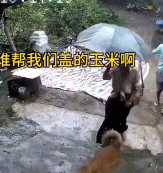 广东一男子家中院子晾晒着玉米，家里无人时天空突然阴沉，眼看暴雨将至，男子和妻子赶